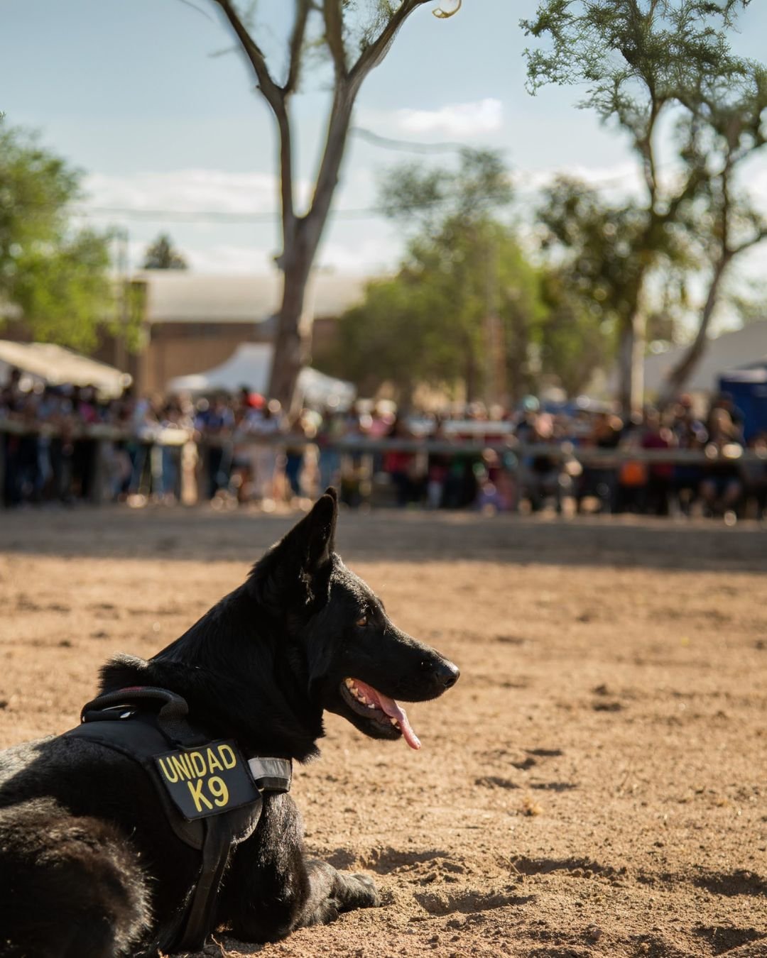 Foto Home Banner Movil 01