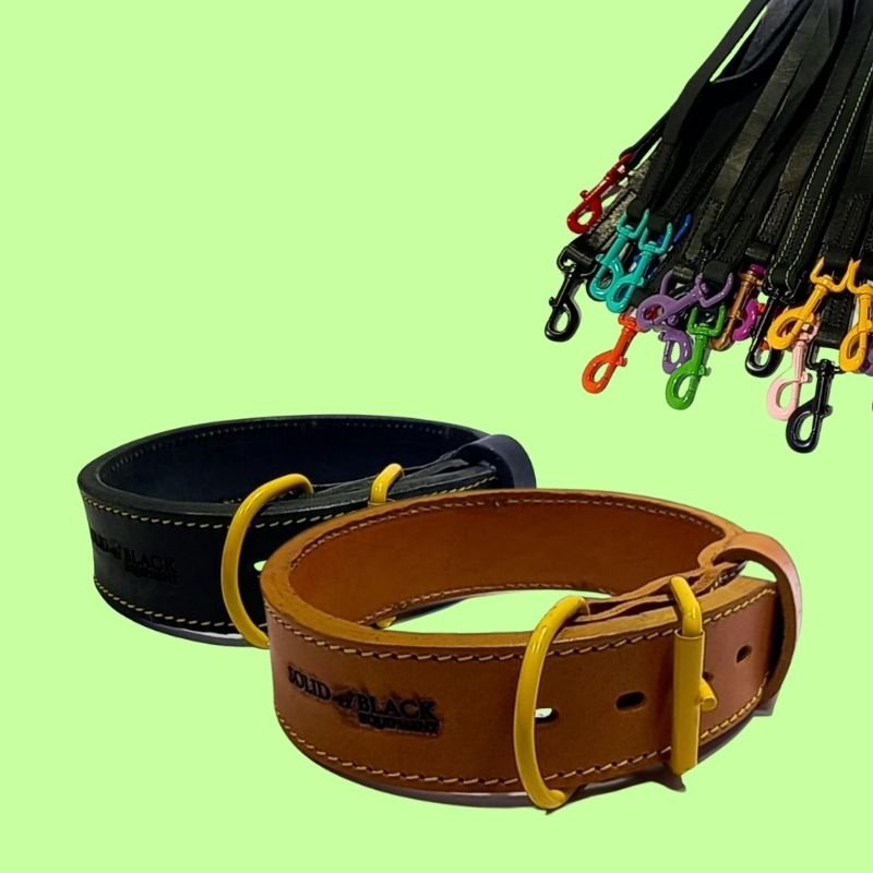 destacado collares