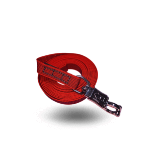 Trailla 5.00mts x 2.5 cm con Mosquetón Antipánico - Roja