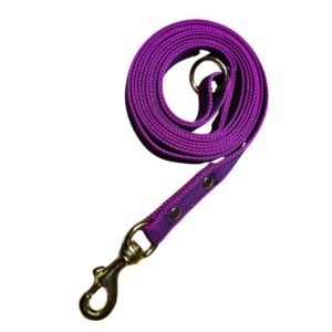 Trailla Engomada 3.00mts x 2cm con Mosquetón de Bronce