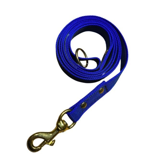 Trailla Engomada 1.60mts x 2cm con Mosquetón de Bronce