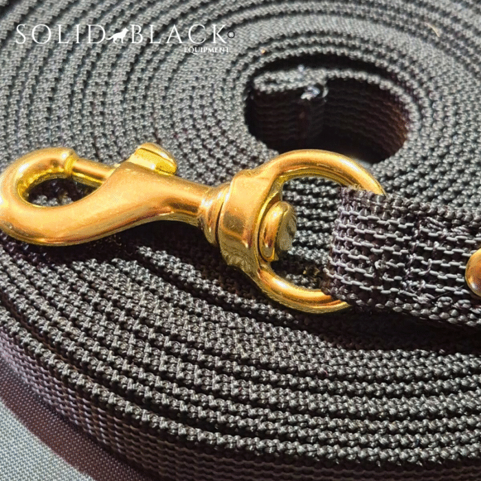 Trailla Engomada 10 mts x 2 cm con Mosquetón de Bronce – Solid Black